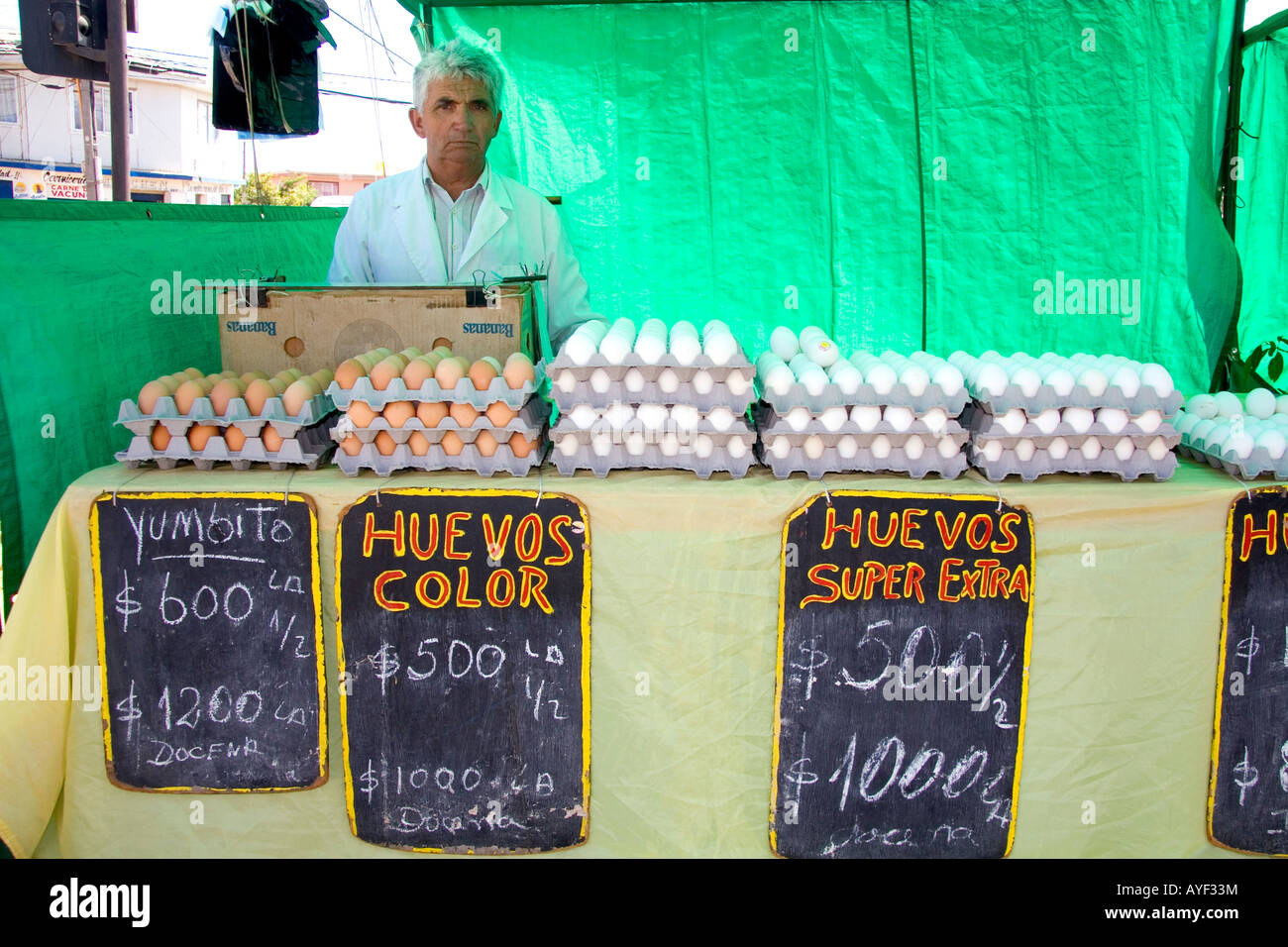 L'uomo la vendita di uova a un esterno di produrre mercato in Valparaiso Cile Foto Stock