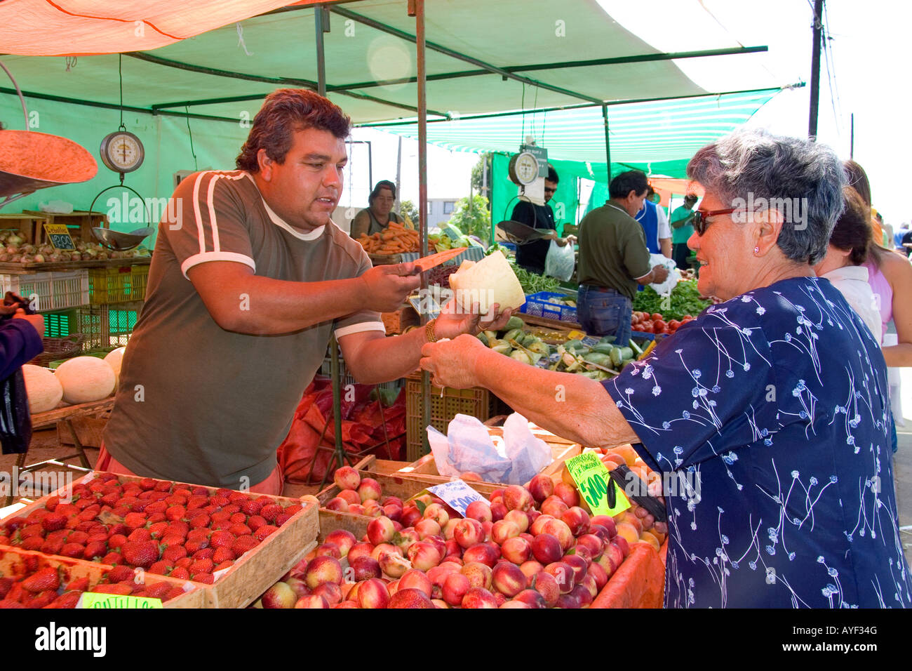 Donna negozi a un esterno di produrre mercato in Valparaiso Cile Foto Stock