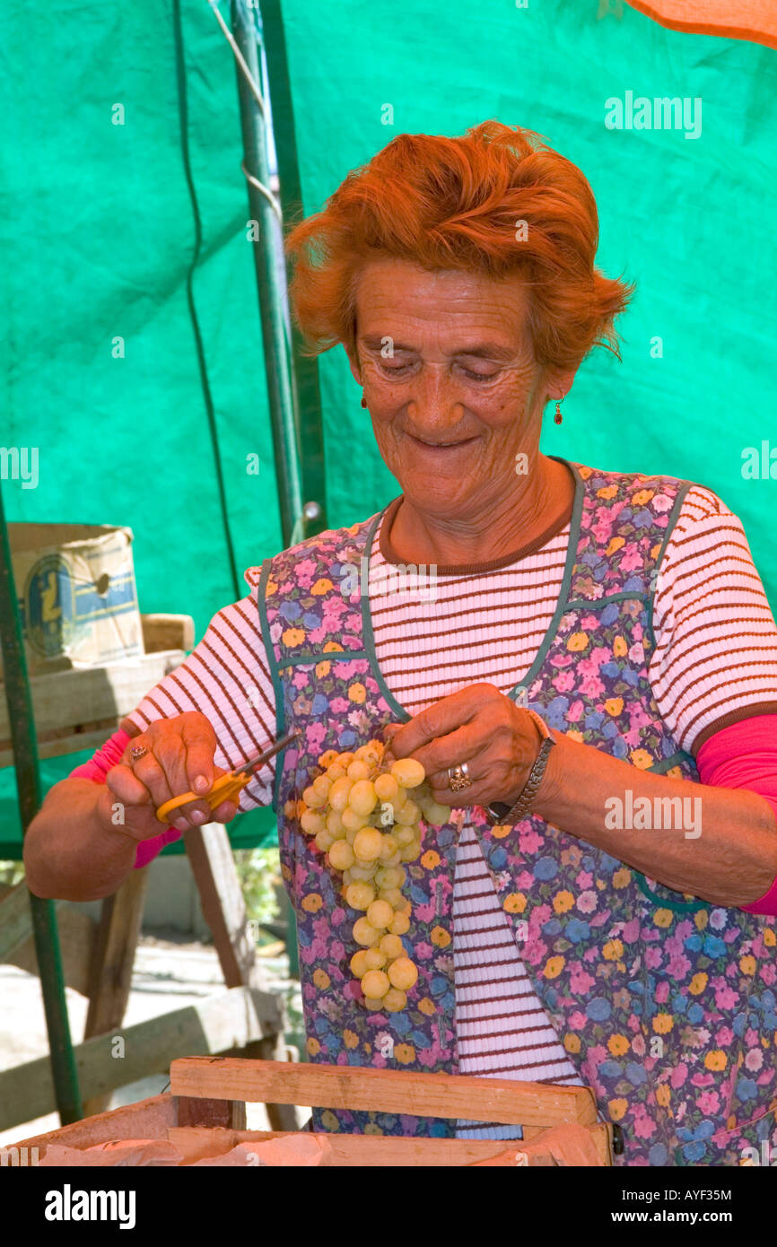 Donna vendita di produrre in un mercato all'aperto in Valparaiso Cile Foto Stock