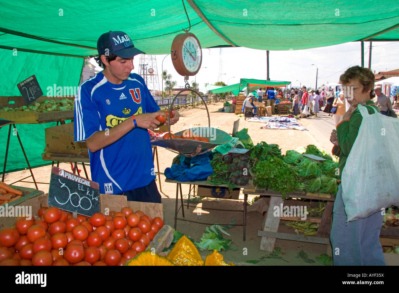 Uomo del peso di pomodori su un dinamometro a molla in un esterno di produrre mercato in Valparaiso Cile Foto Stock