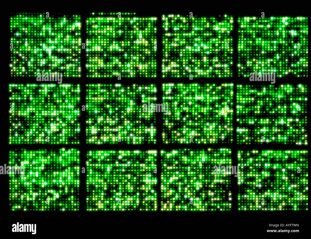 Micro array di DNA chip, genoma umano struttura Foto Stock