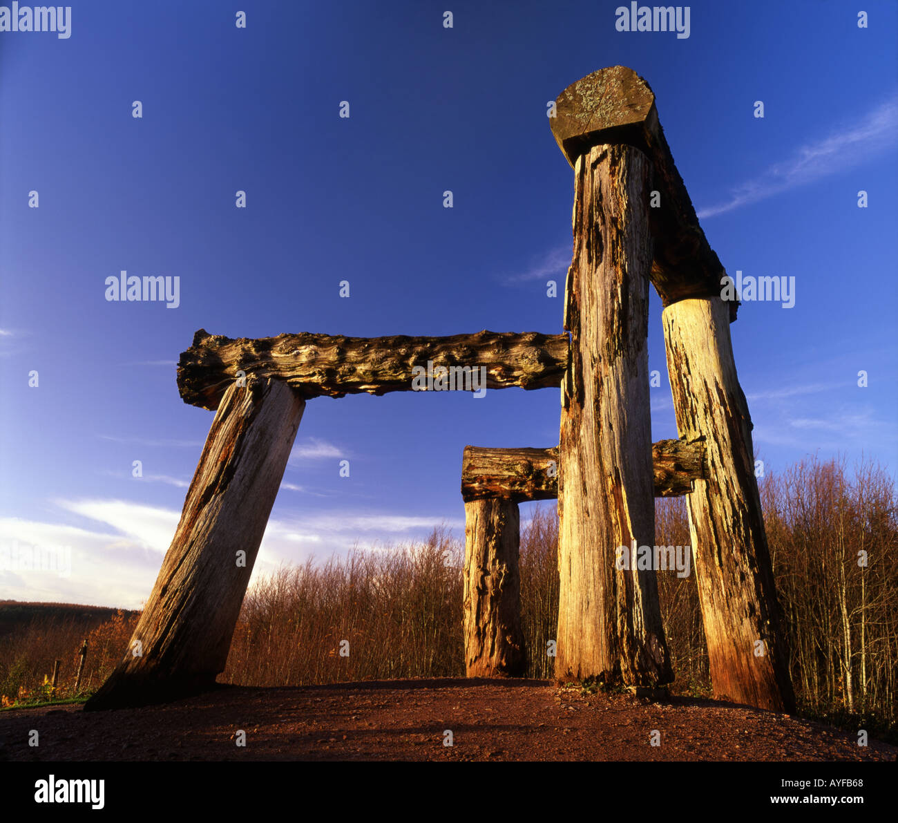 Il luogo quercia gigantesca sedia nella Foresta di Dean Gloucestershire Foto Stock