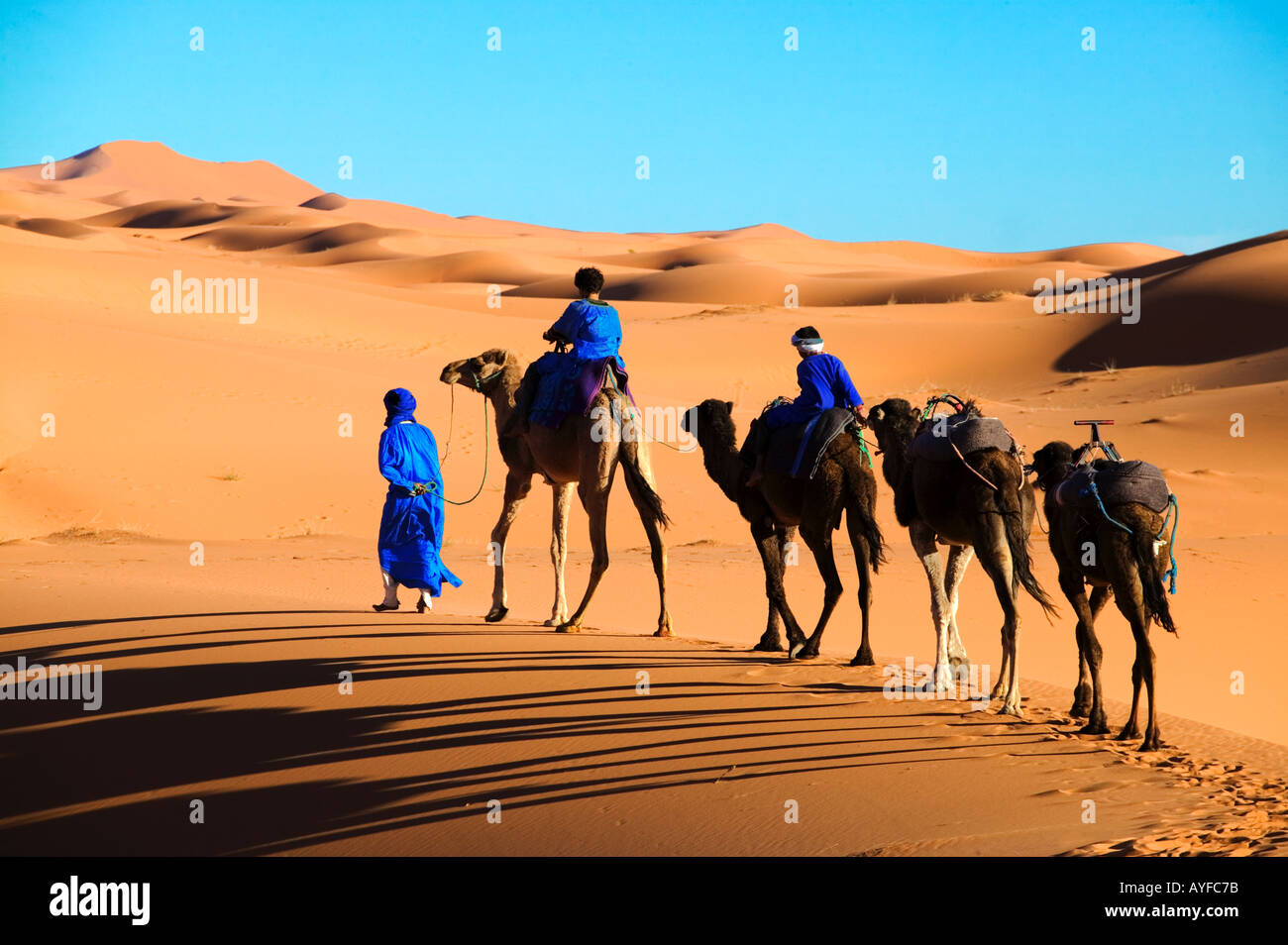 Il tuareg l uomo e i suoi bambini vestiti nella tradizionale tunica blu con i cammelli in Erg Chebbi zona deserto del Sahara in Marocco Foto Stock
