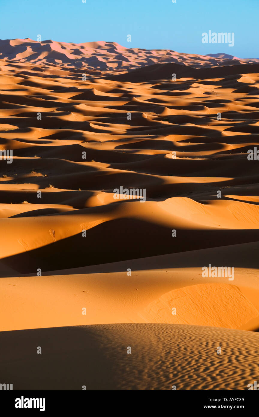 Panorama vista panoramica delle dune di sabbia di Erg Chebbi zona deserto del Sahara in Marocco Foto Stock
