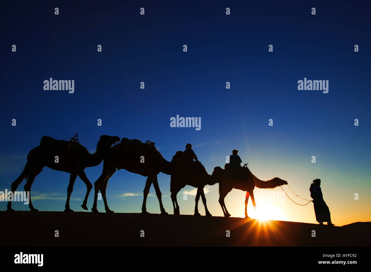 Turismo i turisti a cavallo di cammelli nelle dune di sabbia di Erg Chebbi zona deserto del Sahara in Marocco Foto Stock