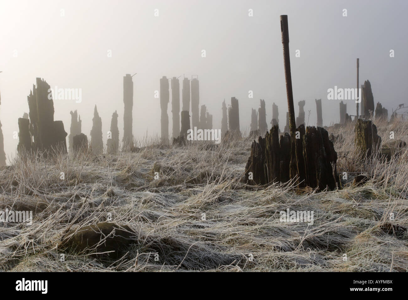 Le rovine di Kennett Pow, Kennetpans sul Forth Estuary come un inizio di mattina nebbia di congelamento cancella. Foto Stock