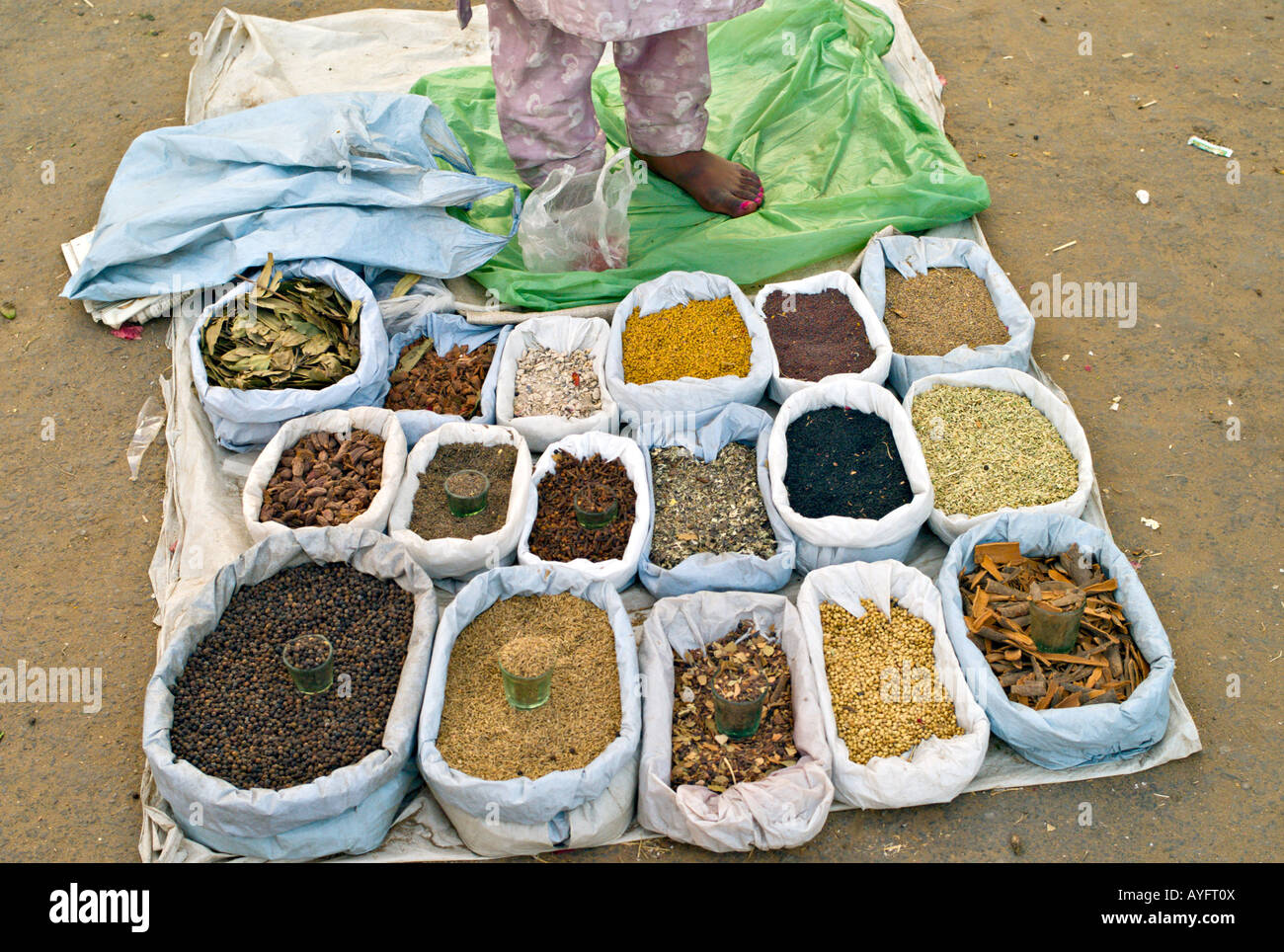 INDIA JAIPUR Sacchi di spezie indiane per la vendita nel mercato di Jaipur da una donna con i piedi nudi e dipinte toenails Foto Stock