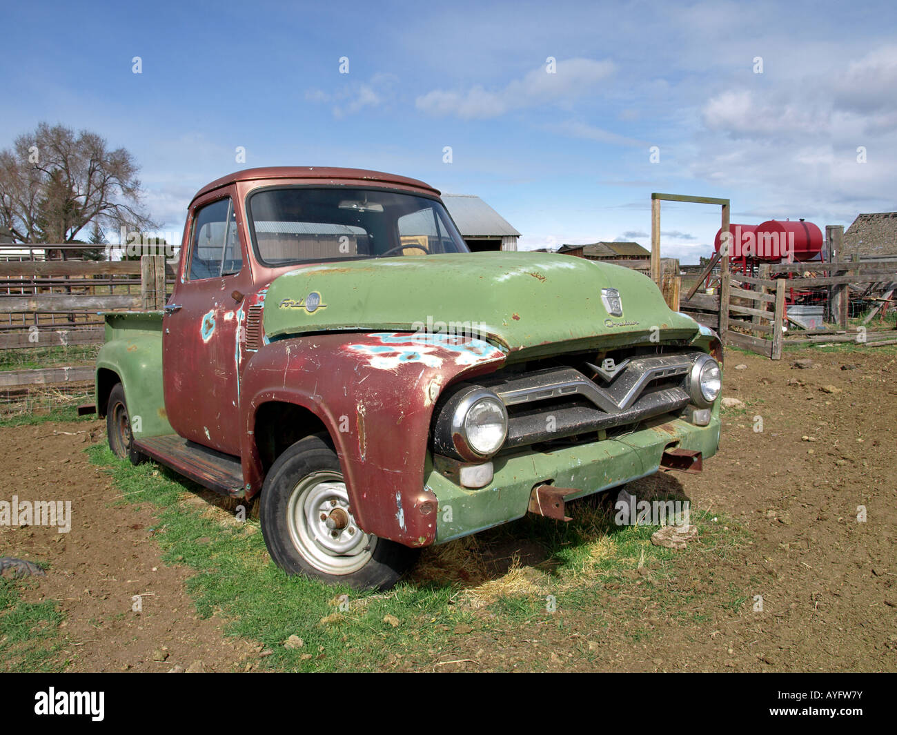 USA la curvatura Oregon un 1955 Ford pickup truck in una fattoria campo vicino Tumalo Foto Stock