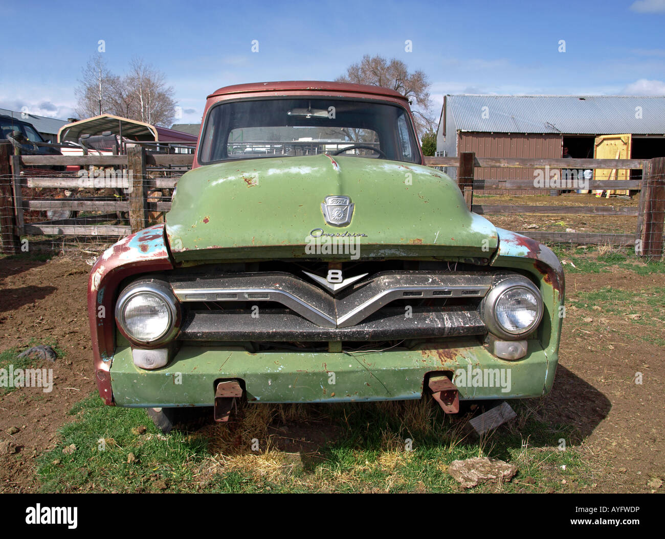 USA OREGON piegare una 1955 Ford pickup truck in una fattoria campo vicino Tumalo Foto Stock