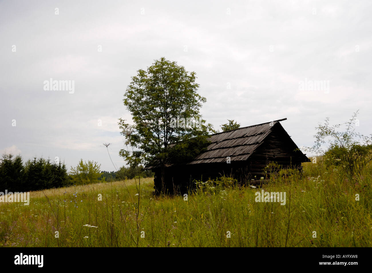 Antica lonely country house Foto Stock