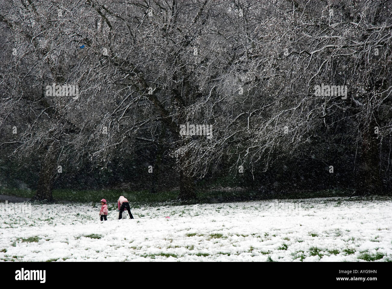 Due bambini che indossano giacche rosa costruire un pupazzo di neve a Springfield park Hackney,Londra Aprile 2008 Foto Stock