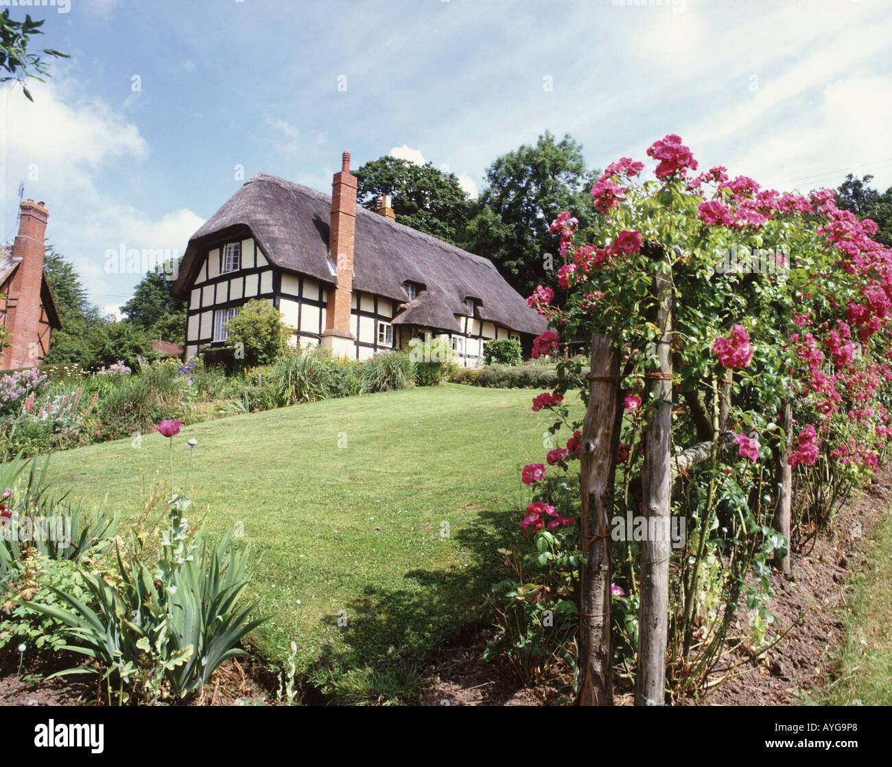 Un grande giardino inglese con i suoi fiori di prato e con il tetto di paglia con cornice in legno cottage a Eastnor Foto Stock