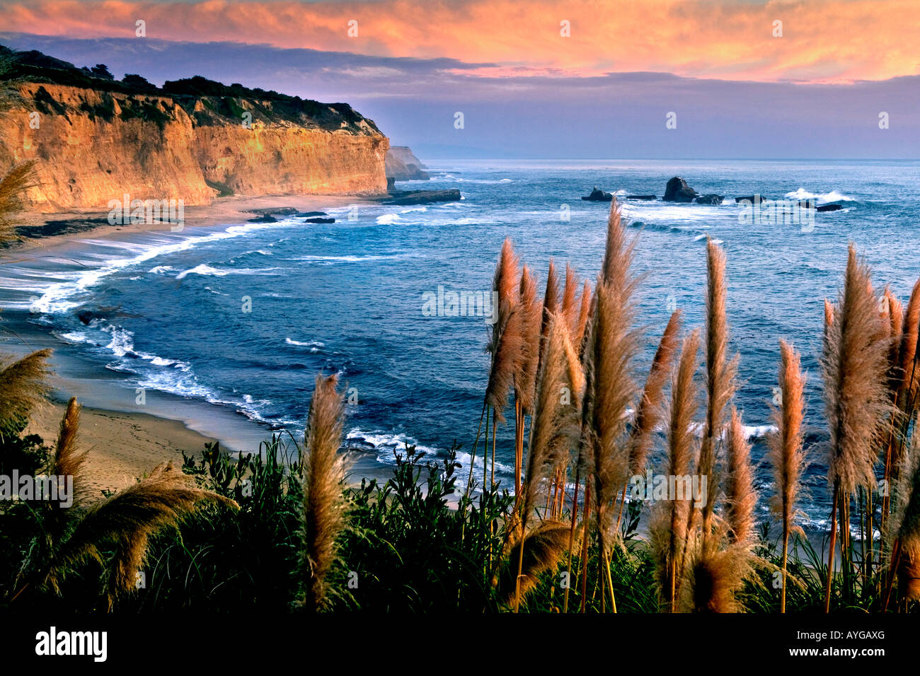 Bel tramonto su Santa Cruz costa affacciata sul il pounding surf dell'Oceano Pacifico Foto Stock