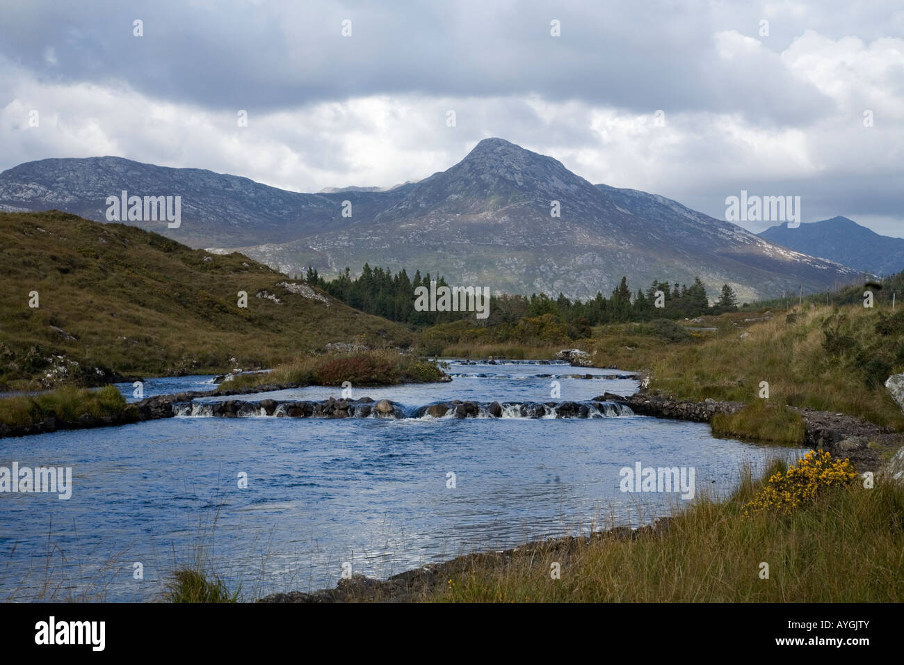 Foto di un flusso con una montagna in background Foto Stock