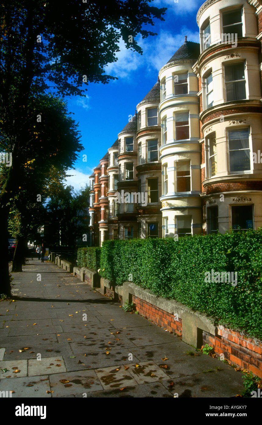 Righe di terrazza Vittoriana case in Malone Rd Belfast Irlanda del Nord Foto Stock