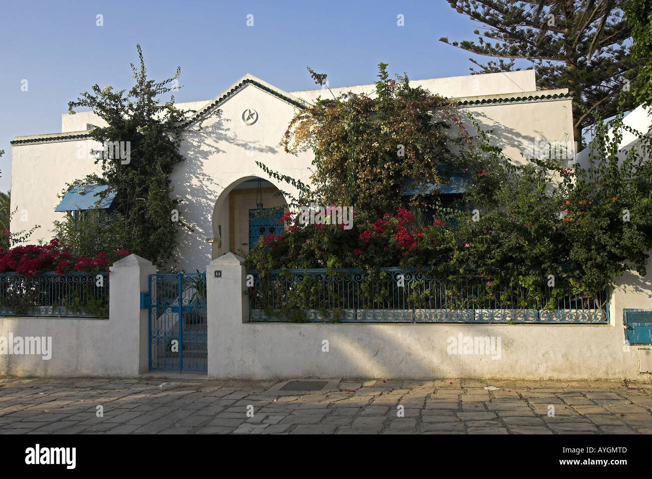 Imbiancare casa con rivestimento blu recinzione e red bougainvillea Sidi Bou Said village Tunisia Foto Stock