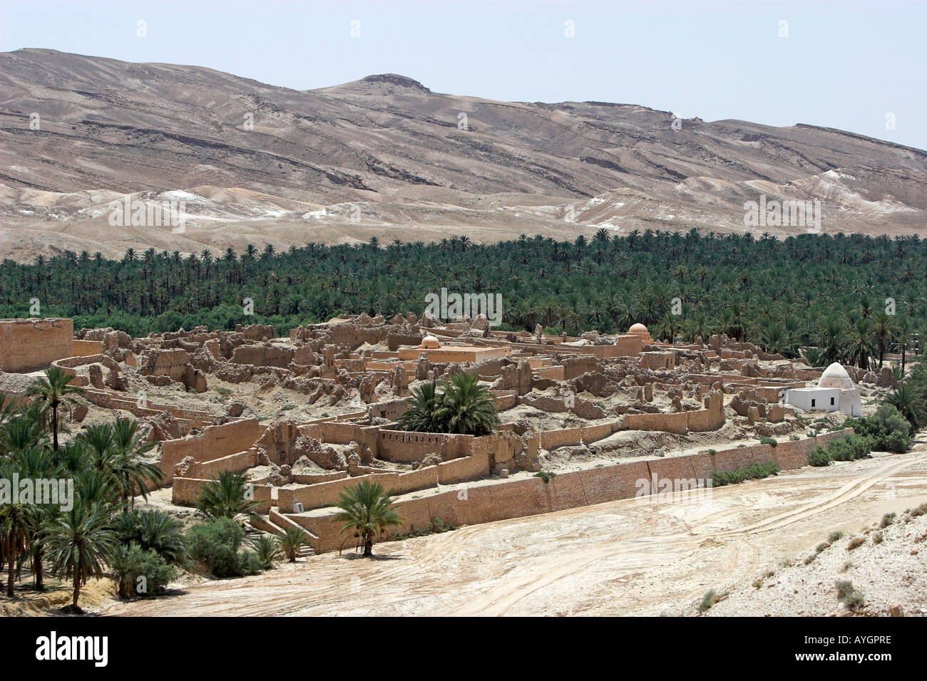 Vecchia Tamerza rovinato antica Berber oasis village Tunisia Foto Stock