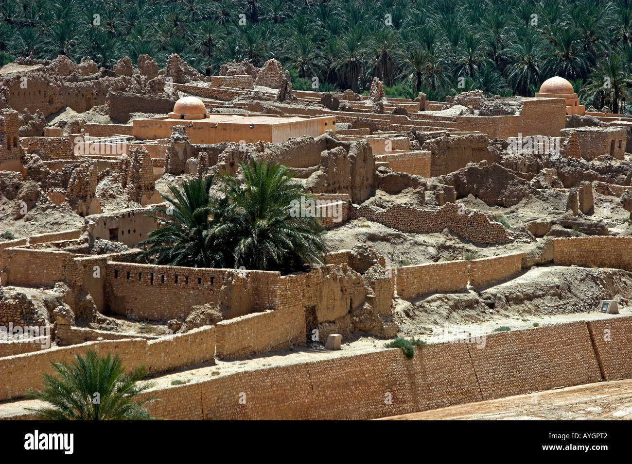 Vecchia Tamerza rovinato antica Berber oasis village Tunisia Foto Stock
