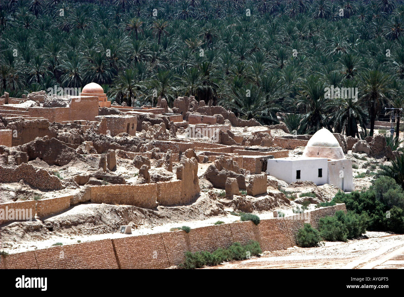 Vecchia Tamerza rovinato antica Berber oasis village Tunisia Foto Stock