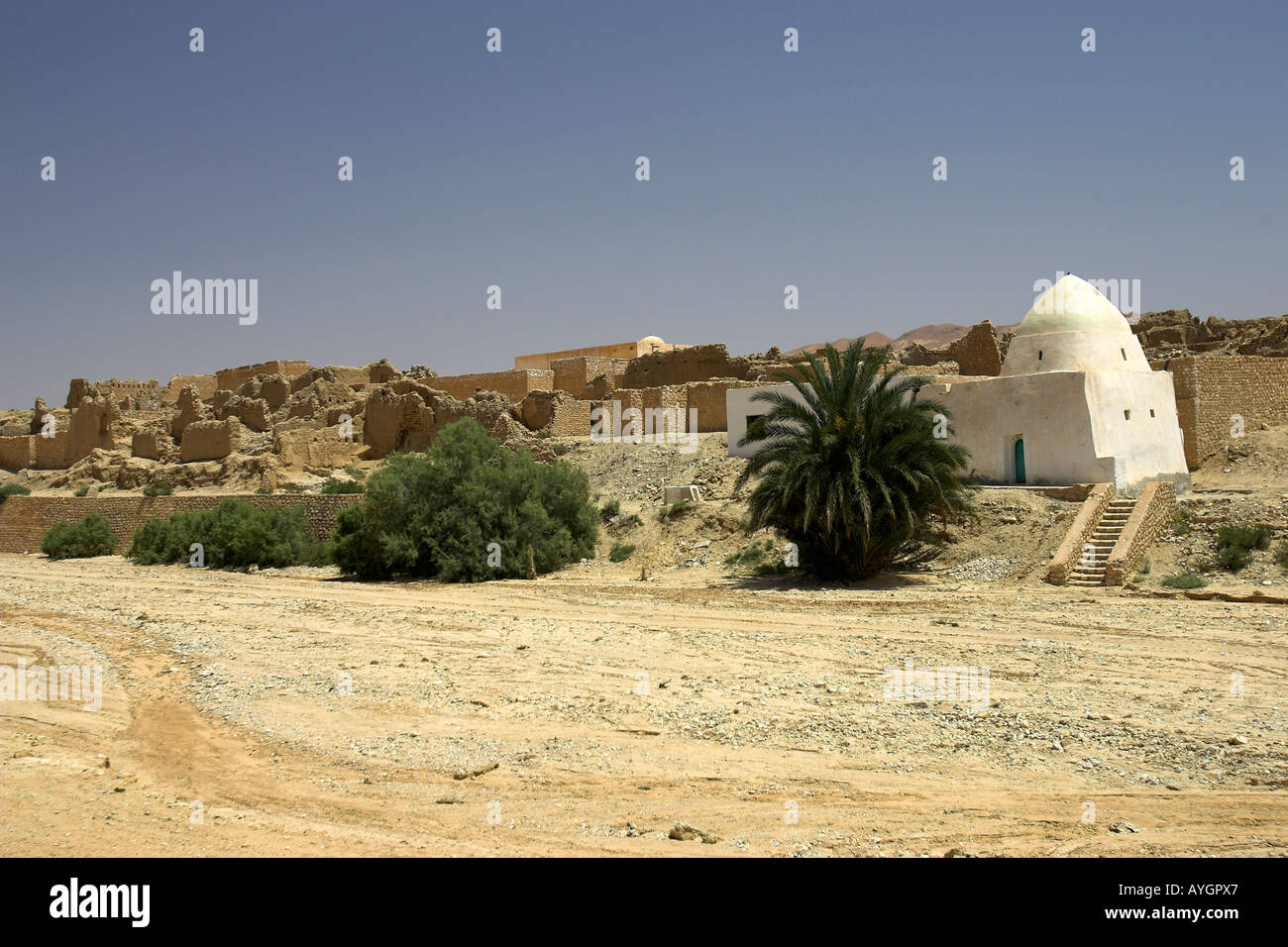 Vecchia Tamerza rovinato antica Berber oasis village Tunisia Foto Stock