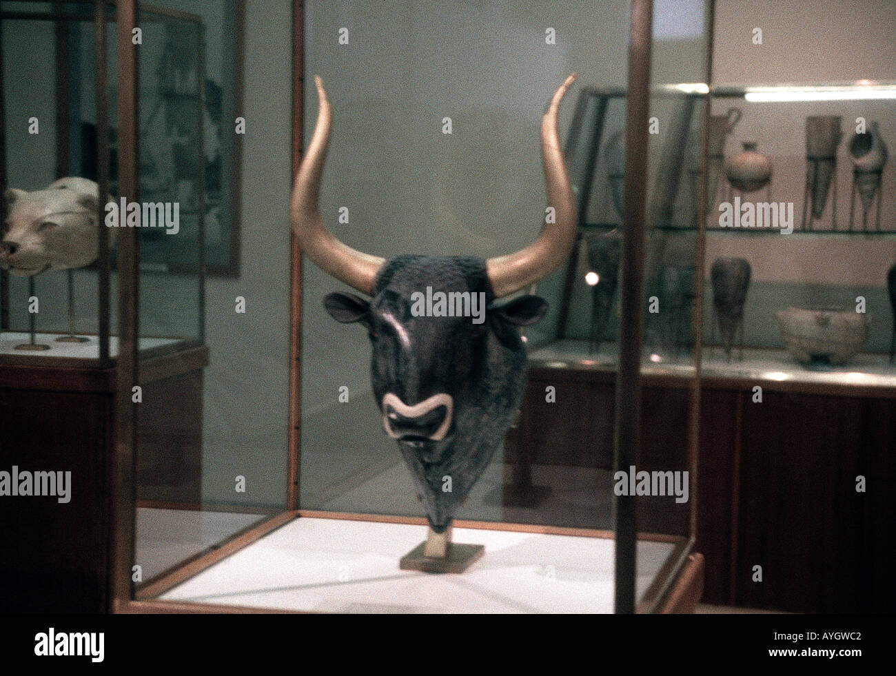 Creta Grecia Iraklion Museum Minoan testa di toro Foto Stock