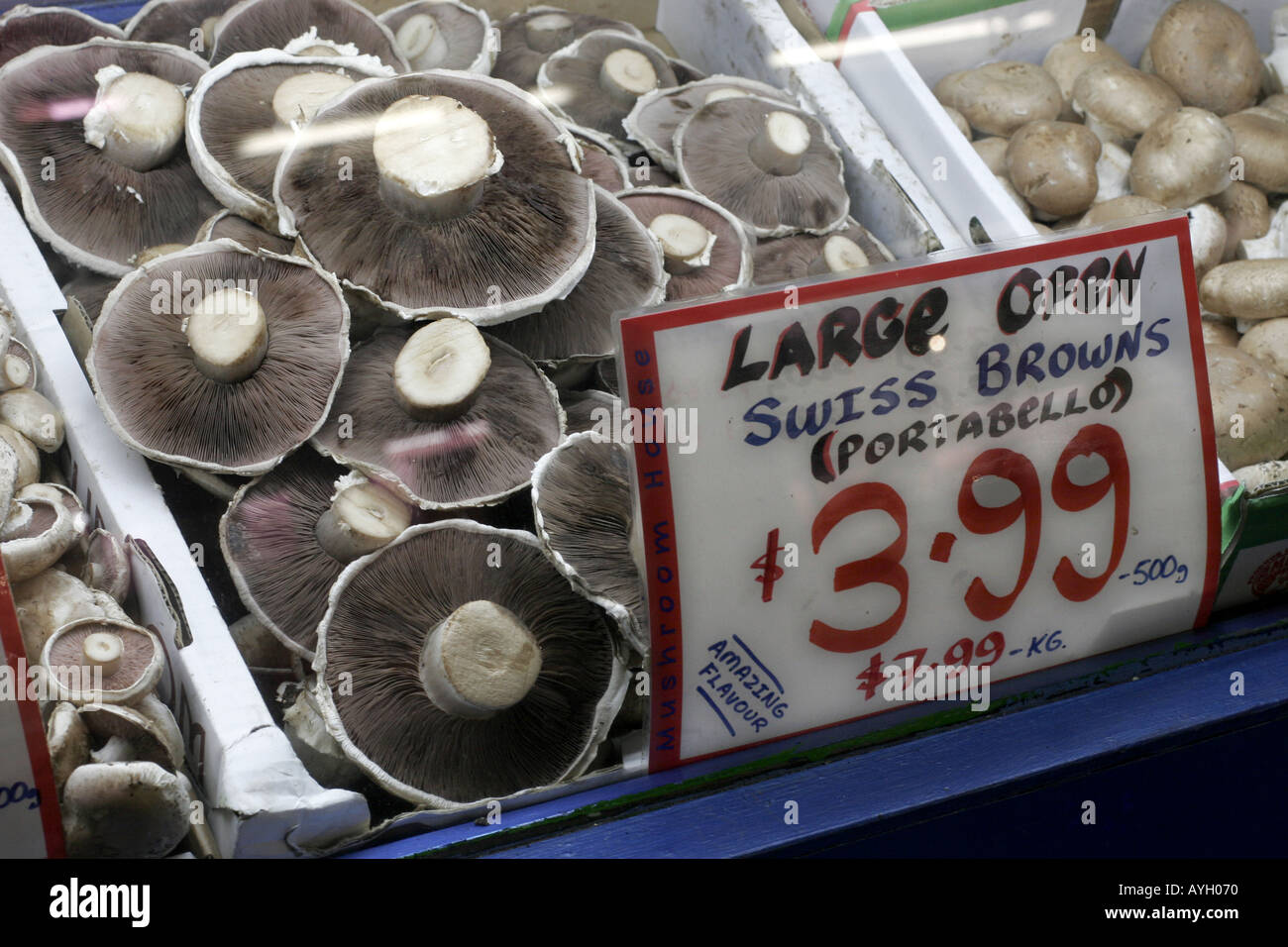 Portabello funghi in vendita in un mercato Foto Stock