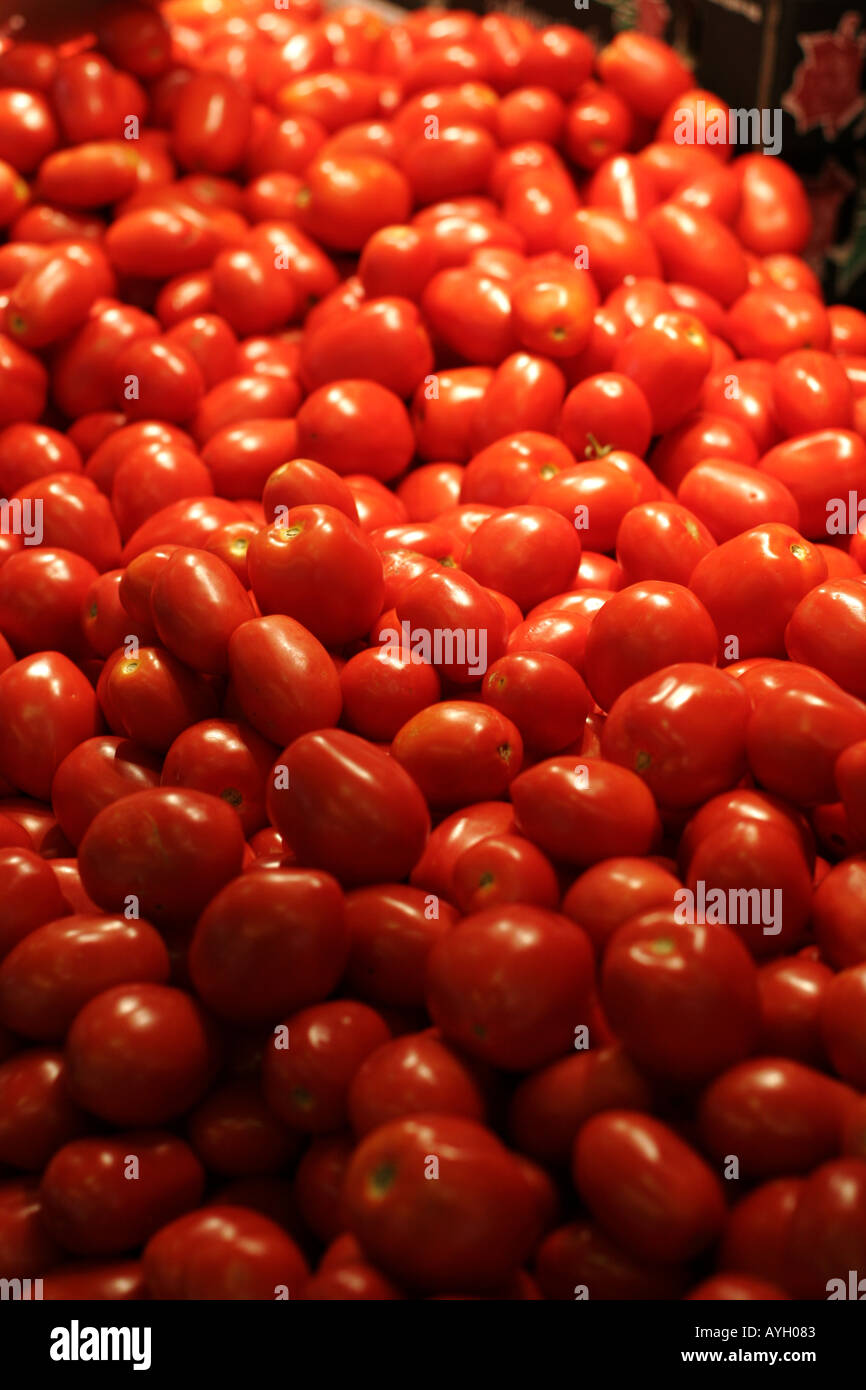 Roma i pomodori per la vendita nel mercato Foto Stock