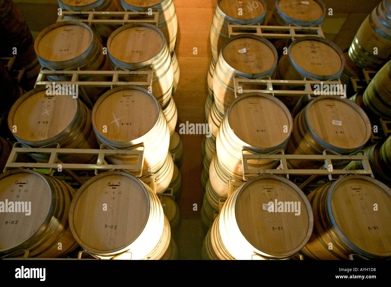 Barili di vino in deposito Foto Stock
