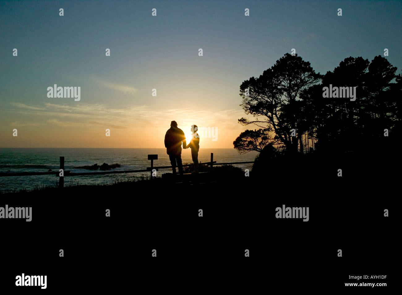 Giovane celebra a guardare il tramonto Foto Stock