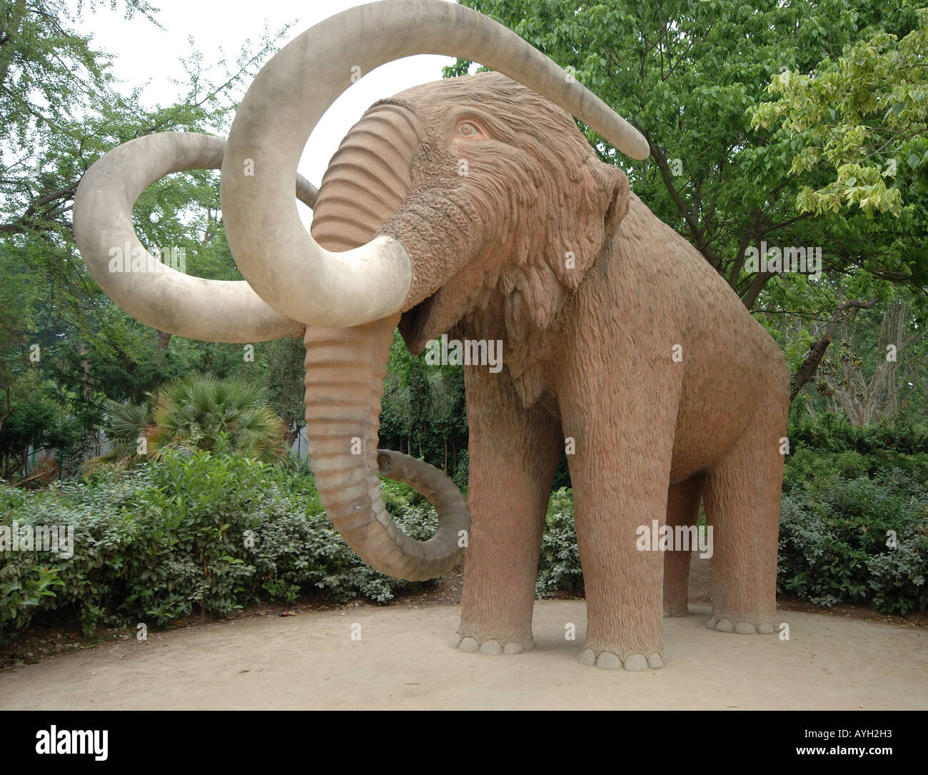 La scultura di un mammut in un parco di Barcellona. Foto Stock