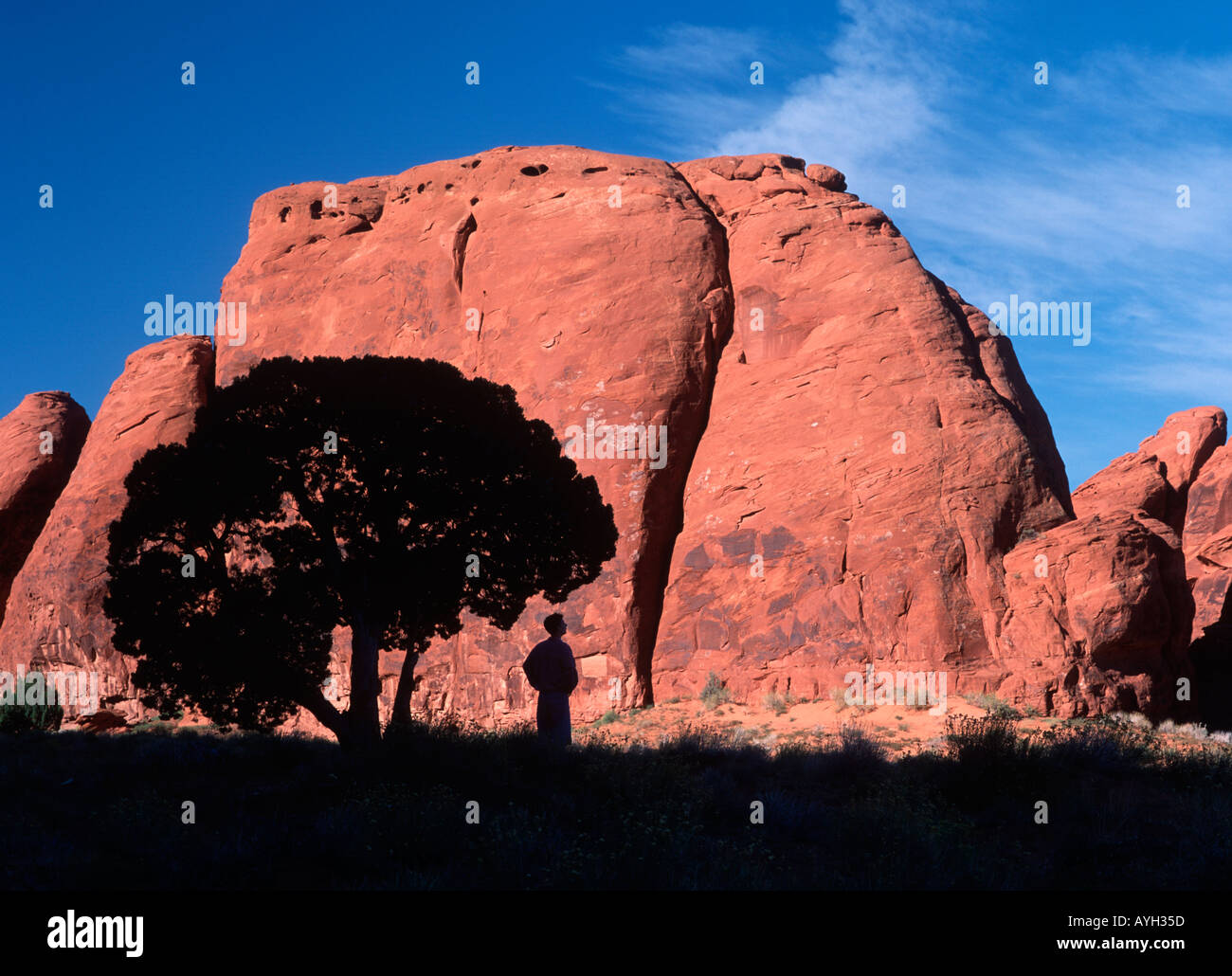 Escursionista si appoggia al di sotto di una shade tree nella parte anteriore di una monolitica roccia arenaria formazione nella Monument Valley in Arizona Utah border Foto Stock