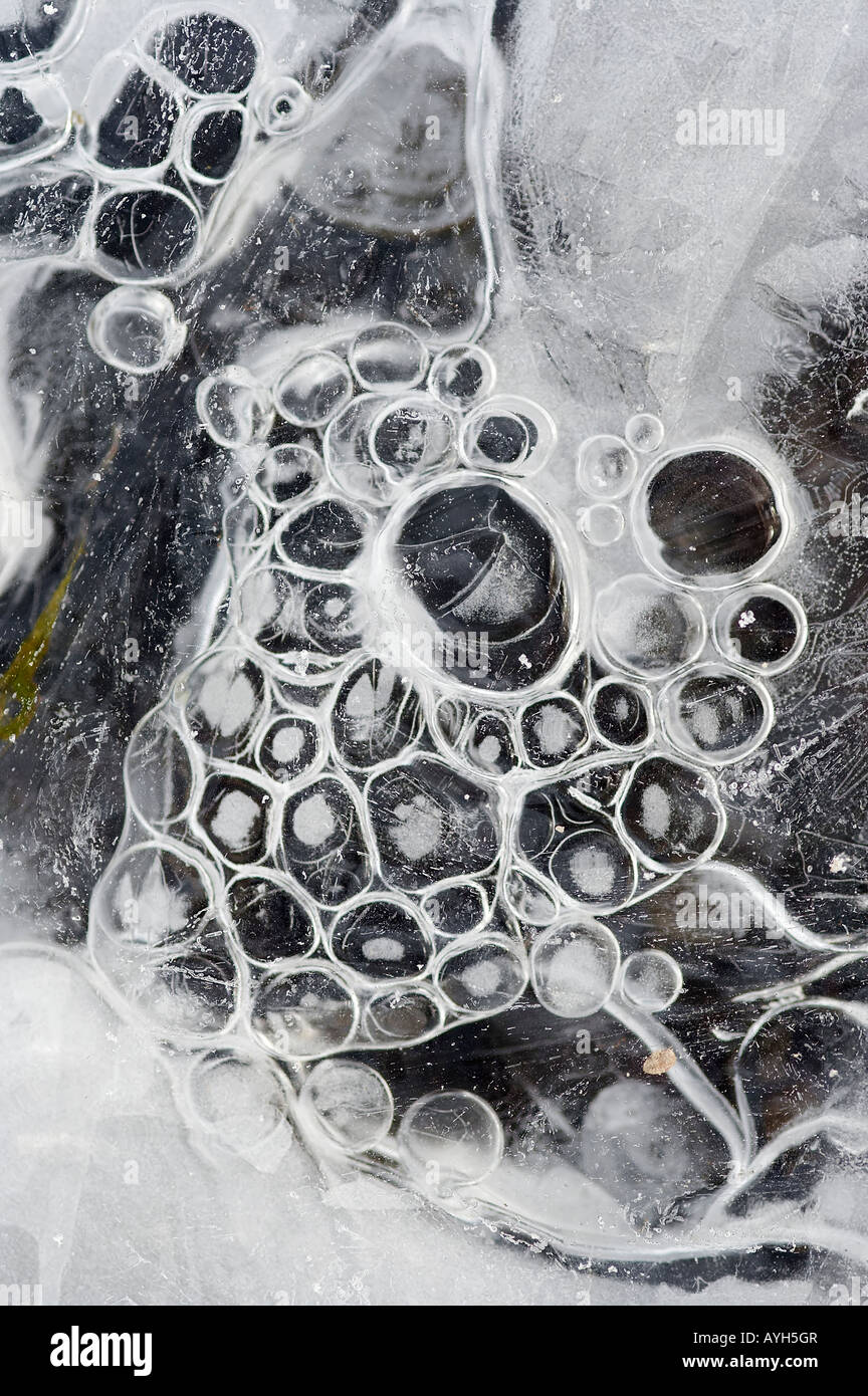 La texture di ghiaccio - frostbound bolla d'aria Foto Stock