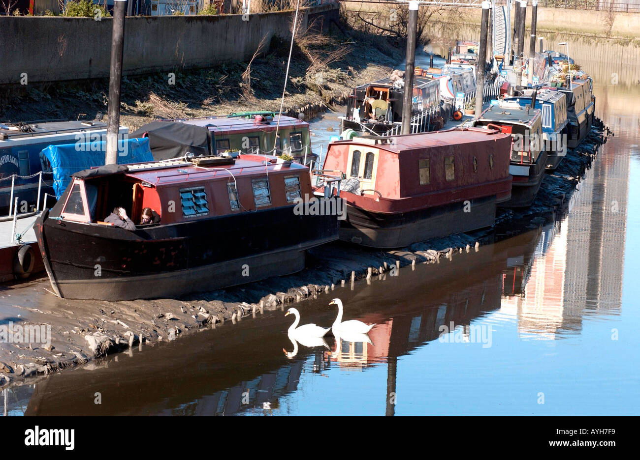 British waterways cleanup caratteristica mostrante trascurato per via navigabile nella zona est di Londra Foto Stock