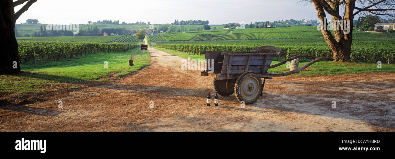 Carrello e le bottiglie di vino a Chateau Saint-Georges vicino a St Emilion nella regione di Bordeaux in Francia Foto Stock