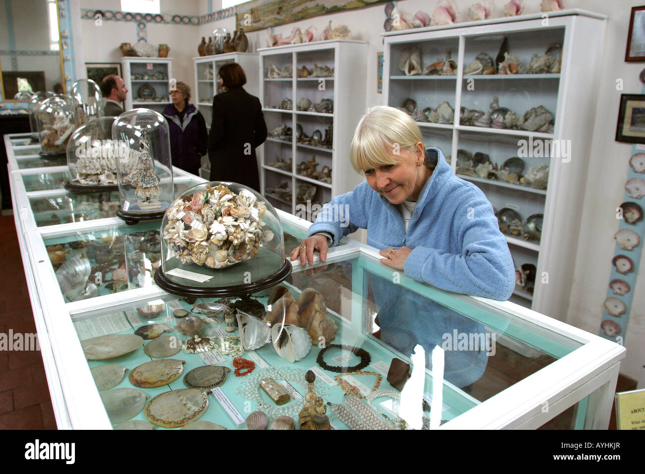 Norfolk Glandford il Museo Shell Foto Stock