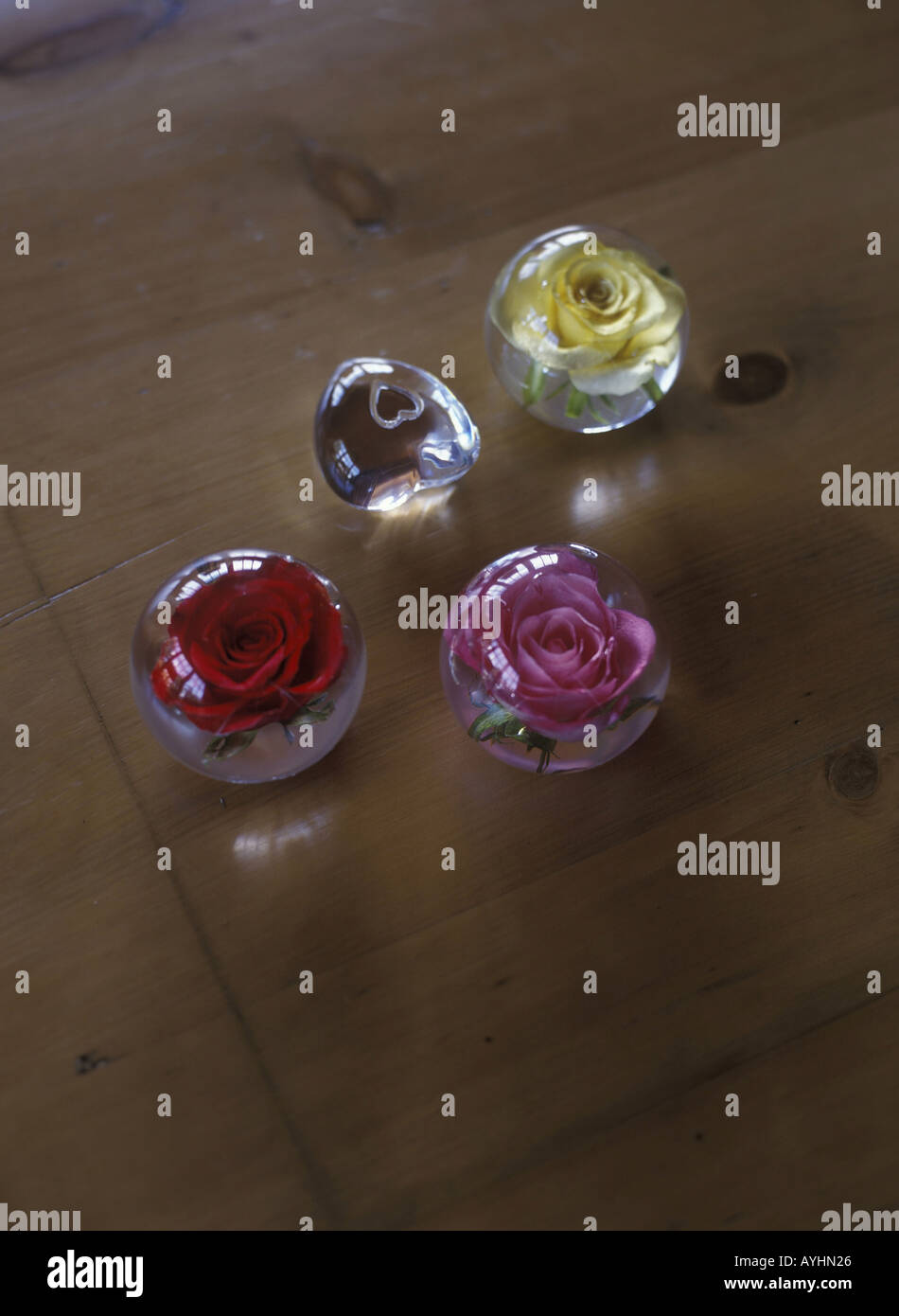 Mit Glaskugeln Rosenblueten Foto Stock