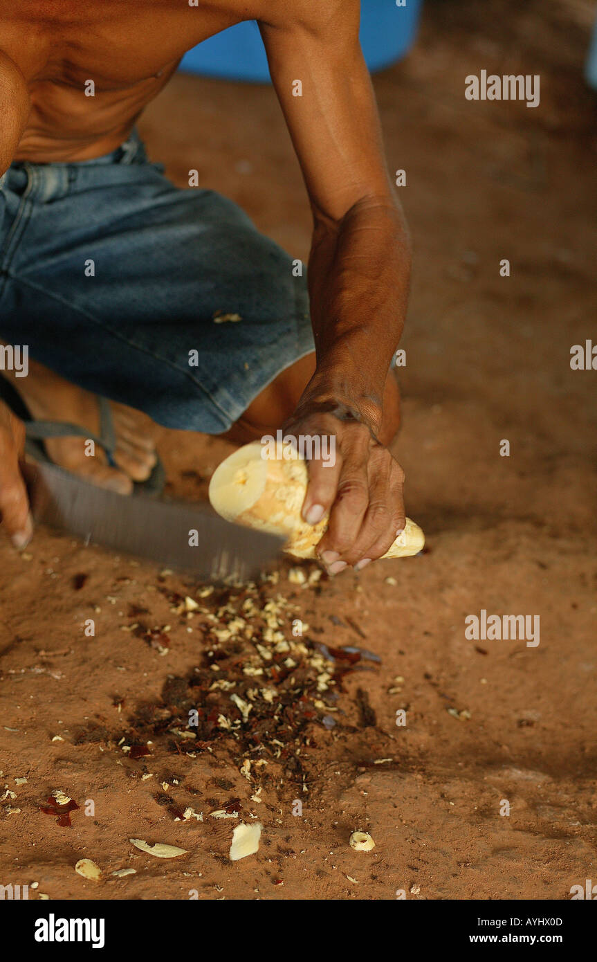 Caboclo beim Schaelen einer Maniokwurzel Amazonas Foto Stock