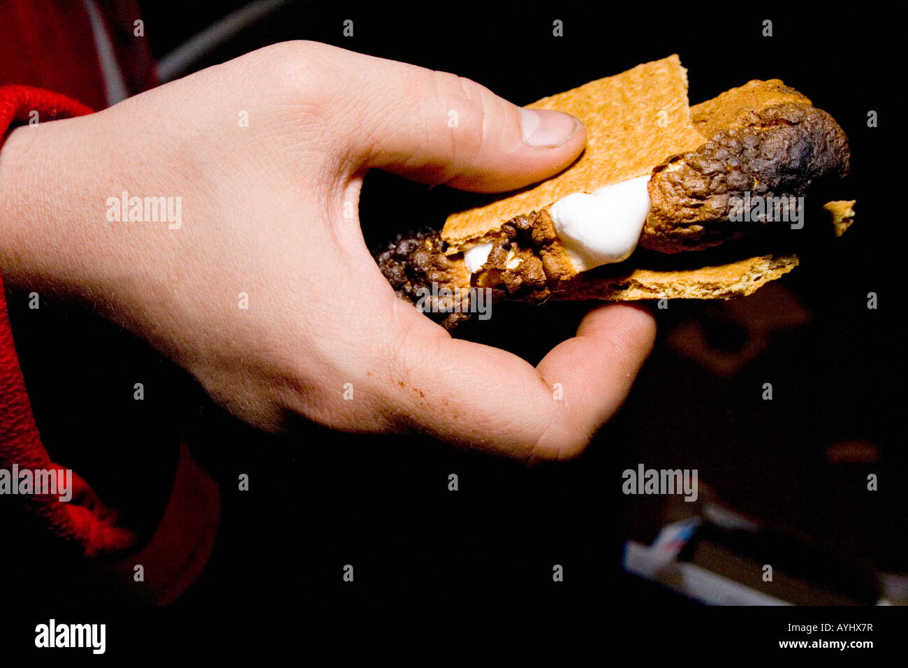 Appena tostato marshmallow schiacciato tra graham cracker e una tavoletta di cioccolato. Clitherall Minnesota USA Foto Stock