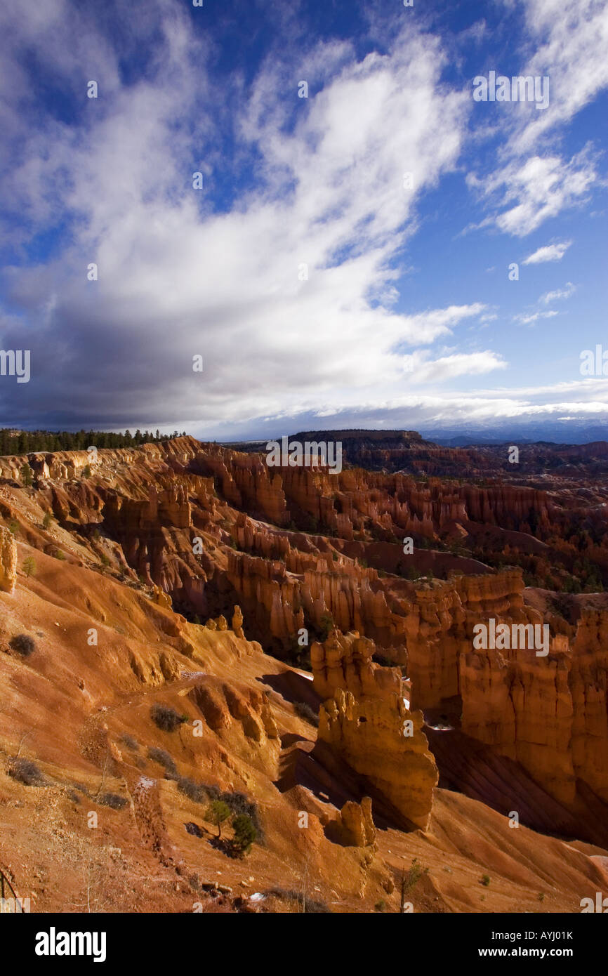 Scena di neve,Bryce Canyon,Parco Nazionale,Utah Foto Stock