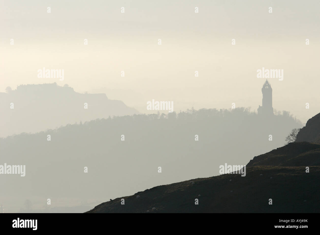 Pecore pascolano sul lato di Dumyat nel Ochils con Wallace Monument e il Castello di Stirling affacciantisi dalla nebbia dietro. Foto Stock