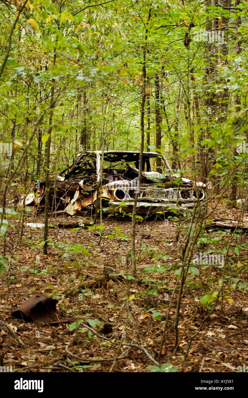 Vecchia auto ruggine nella foresta in Chattahoochee National Recreation Area Roswell GA USA Foto Stock