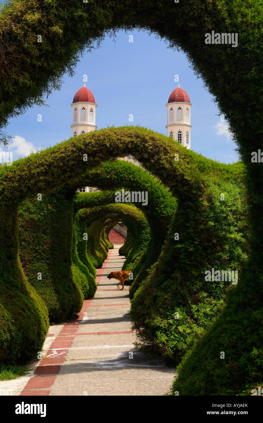 Topiaria da portici giardino Zarcero in Costa Rica con San Rafael chiesa cattolica e cane Foto Stock