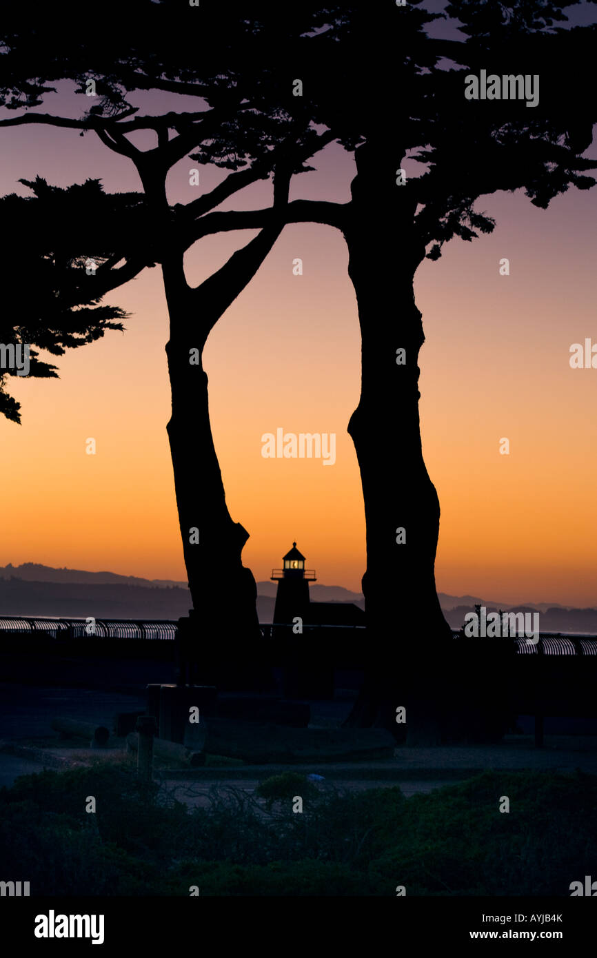 Sunrise over storica di Santa Cruz Faro California tra due alberi con l'Oceano Pacifico e la baia di Monterey Foto Stock