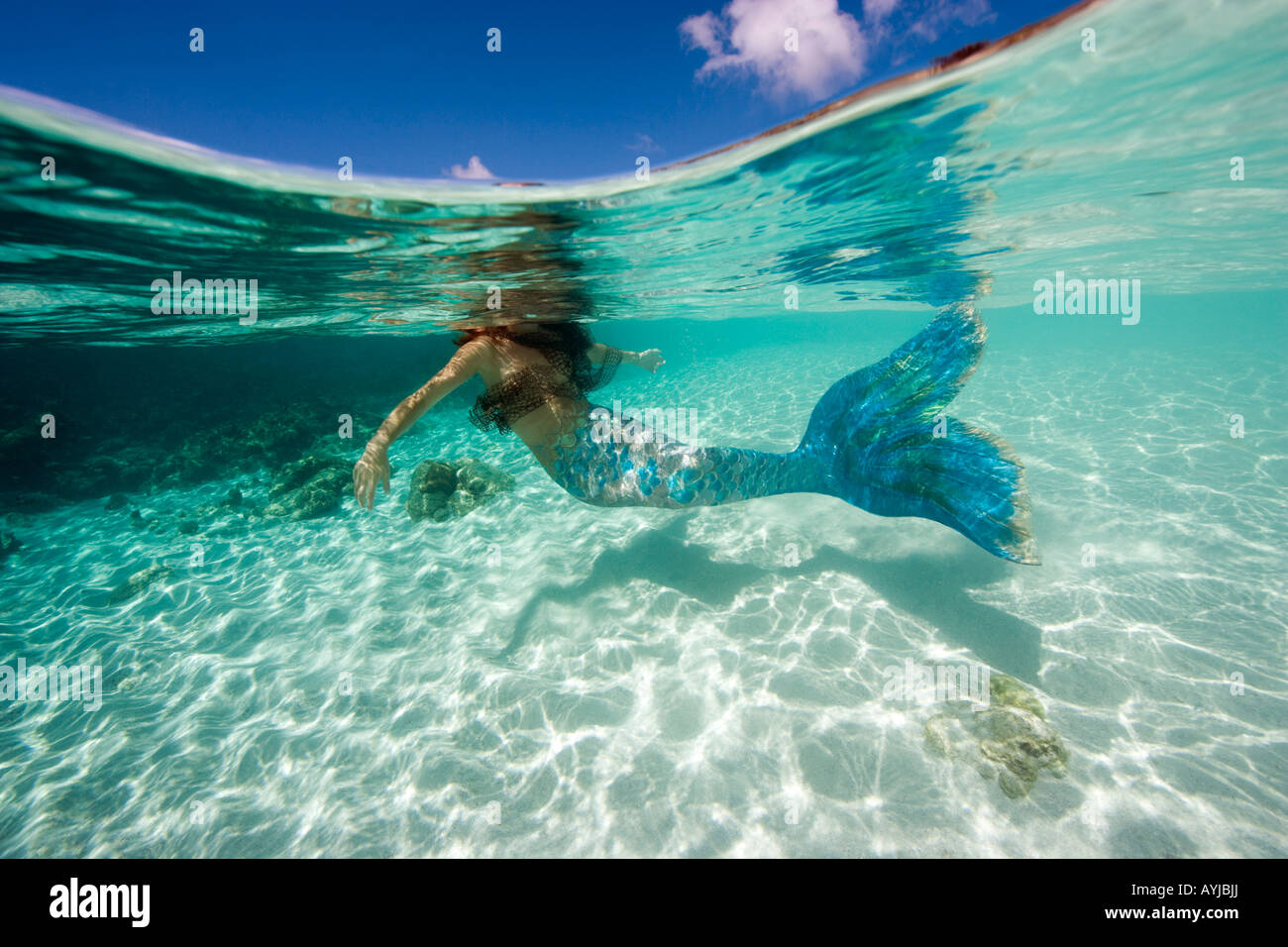 Mermaid in acque poco profonde in corrispondenza della superficie Bonaire Netherland Antillies Foto Stock