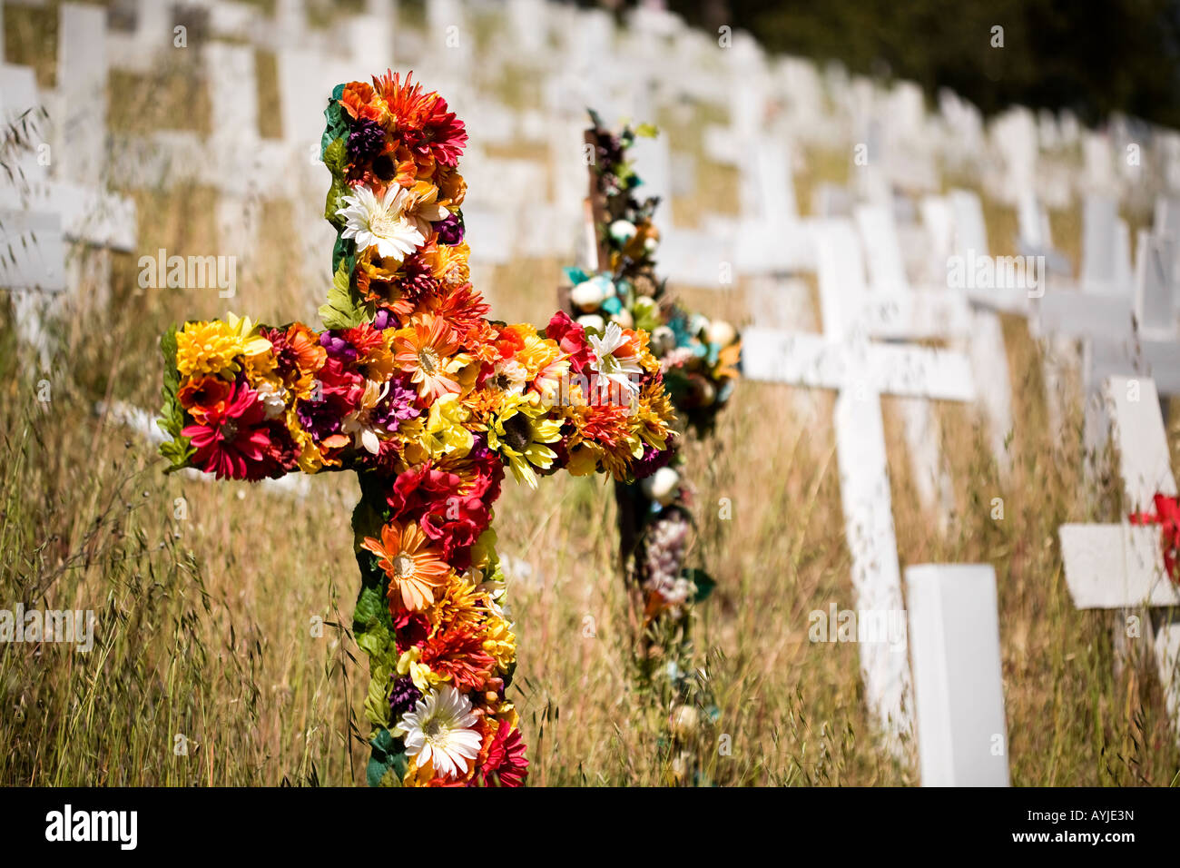 Croci ornate di fiori al Lafayette attraversa anti-War Memorial. Foto Stock