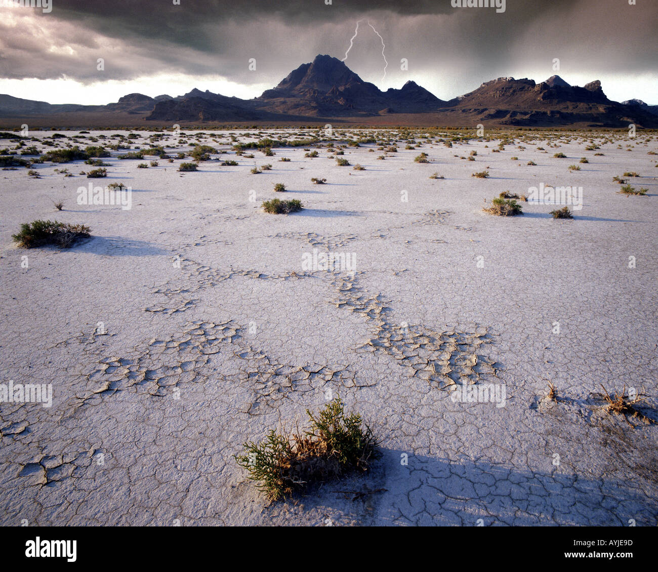Stati Uniti - UTAH: Bonneville Saline presso il Grande Lago Salato deserto Foto Stock