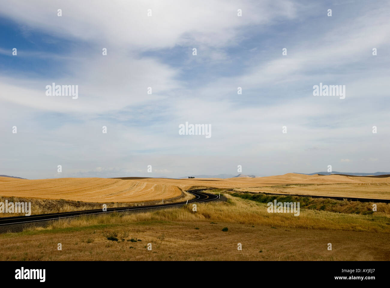 Strada tortuosa in Palouse area di Washington orientale Foto Stock