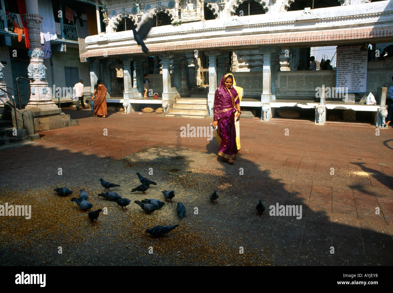 Mumbai (ex Bombay ) India alimentazione di uccelli a indù Babulnath Shri Shri - Tempio Foto Stock