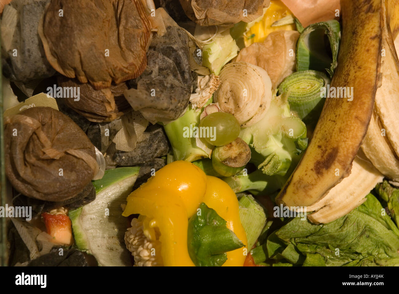 Rifiuti alimentari verde in una cucina compost bin Foto Stock