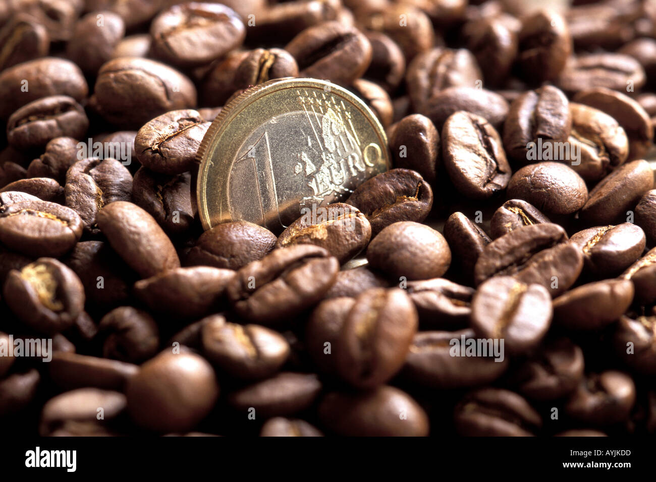 Kaffeebohnen Geroestete mit Euro Muenze Foto Stock